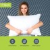 Набір подушок 2 шт Aloe Vera IDEIA 50х70 см на блискавці, антиалергенний