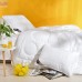 Ковдра зимова Air Dream Exclusive подвійна IDEIA 175х210 см антиалергенна, тепла ковдра двошарова щіл. 200+200