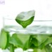 Ковдра Aloe Vera зимова IDEIA 140*210 см з просоченням алоє щіл. 300