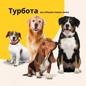Лежанка матрац 80х120х12 см лежак для домашніх улюбленців XL чохол з блискавкою та подушкою для собак та котів