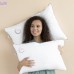 Подушка Sweet Moon ТM PAPAELLA 40х60 см аналог лебединого пуху