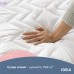 Наматрацник NORDIC COMFORT 80х190х35 см IDEIA щіл 150 натяжний з бортом по периметру